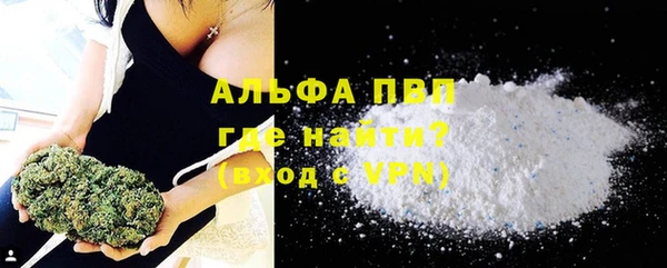 PSILOCYBIN Балахна