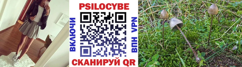 Купить закладки  Гаврилов Посад  Галлюциногенные грибы мицелий 
